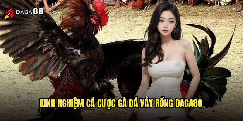 Gà Đá Vảy Rồng DAGA88 Giống Gà Quý Hiếm Nhất Thế Giới 3 Kinh nghiệm cá cược gà đá vảy rồng DAGA88