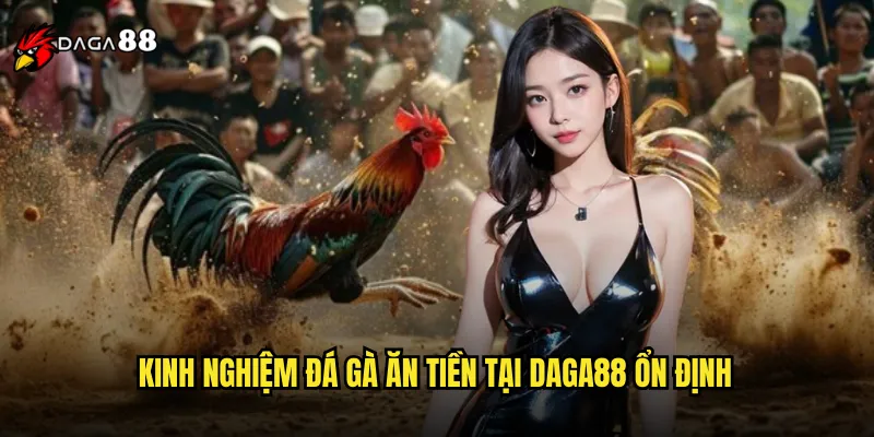 Đá Gà Ăn Tiền DAGA88 Kiếm Lời Khủng Mỗi Ngày 3 Kinh nghiệm đá gà ăn tiền tại DAGA88 ổn định