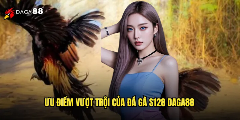 Đá Gà S128 DAGA88 Trực Tiếp Live 24/7 Không Gián Đoạn 2 Ưu điểm vượt trội của đá gà S128 DAGA88