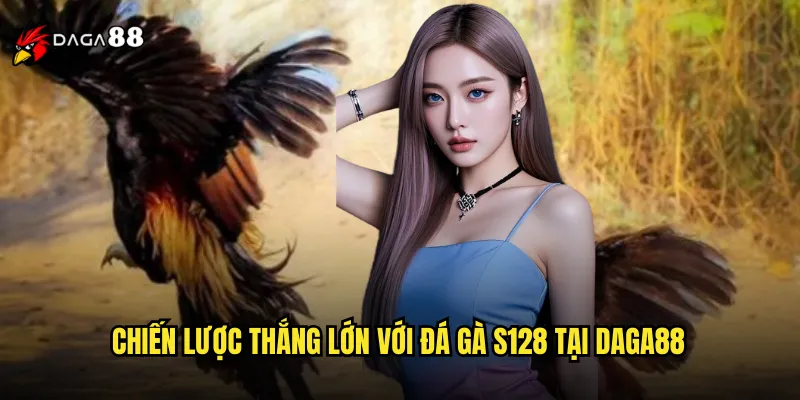 Đá Gà S128 DAGA88 Trực Tiếp Live 24/7 Không Gián Đoạn 3 Chiến lược thắng lớn với đá gà S128 tại DAGA88