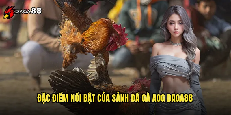 Đá Gà AOG DAGA88 Arena Of Glory Đấu Trường Danh Vọng 2 Đặc điểm nổi bật của sảnh đá gà AOG DAGA88