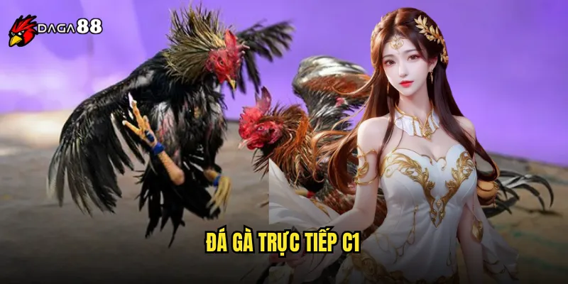 đá gà trực tiếp C1