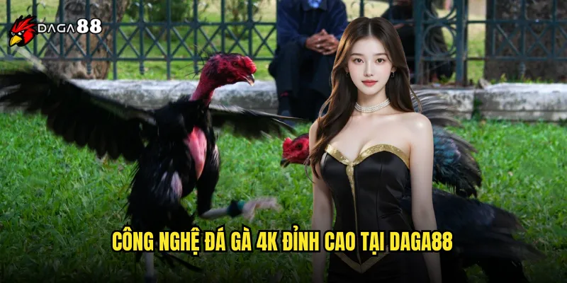 Công Nghệ Đá Gà 4K Đỉnh Cao Tại DAGA88