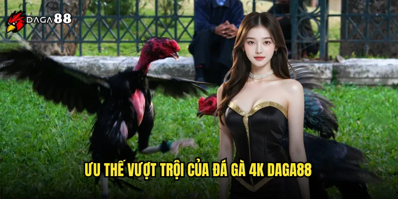 Ưu Thế Vượt Trội Của Đá Gà 4K DAGA88